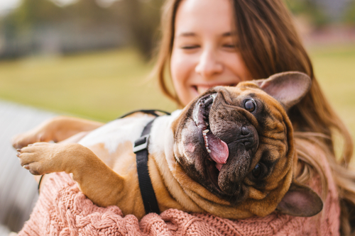 Gardiennage de chien par une professionnelle passionnée par les animaux